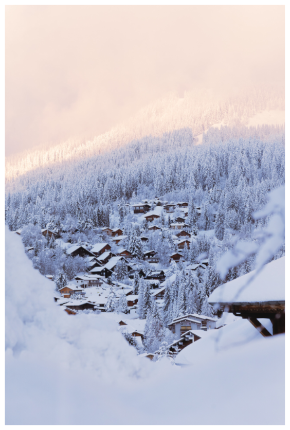 Main image Chalets cachés