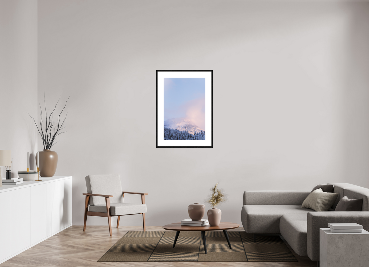 60 x 90 cm, cadre 9 noir Forêt blanche