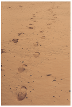 Main image Traces dans le Sable