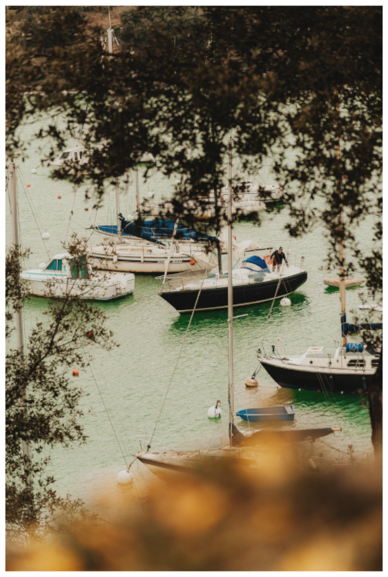Main image Les bateaux de Pornic