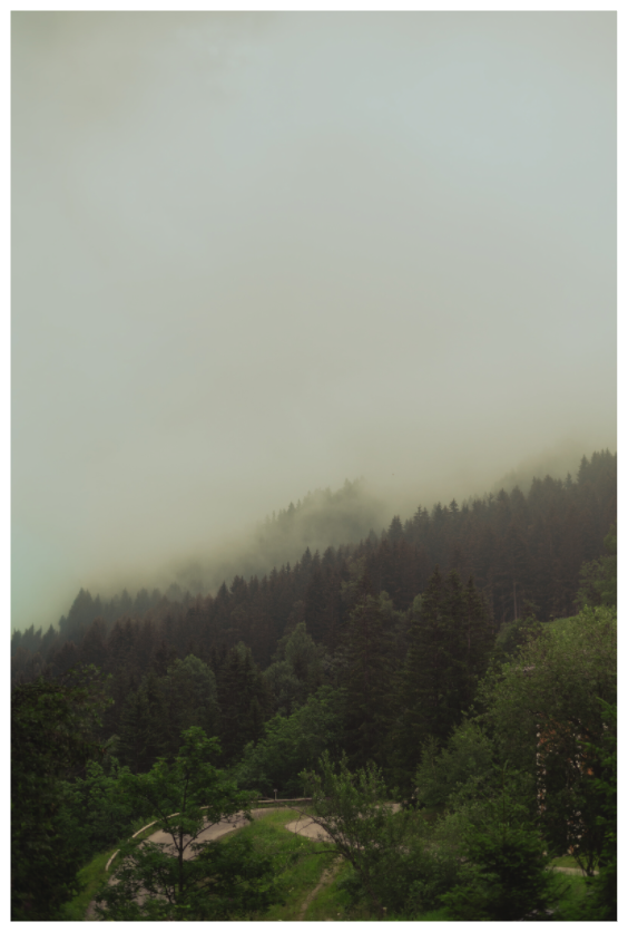 Main image Forêt brumeuse